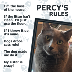 PetRules Cat