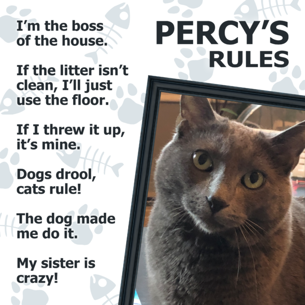 PetRules Cat