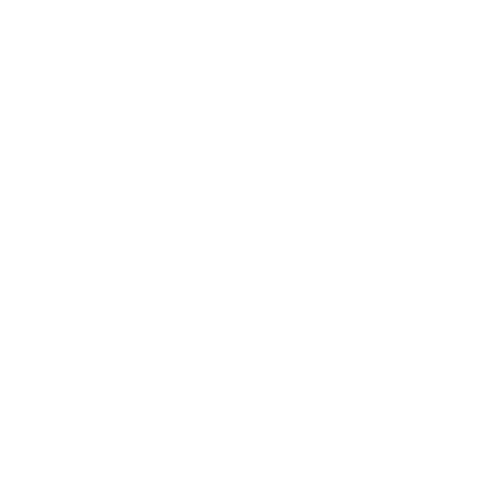 Pet Rules PR Logo in white.